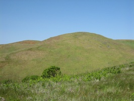 Grassy hill at Mt. Tam